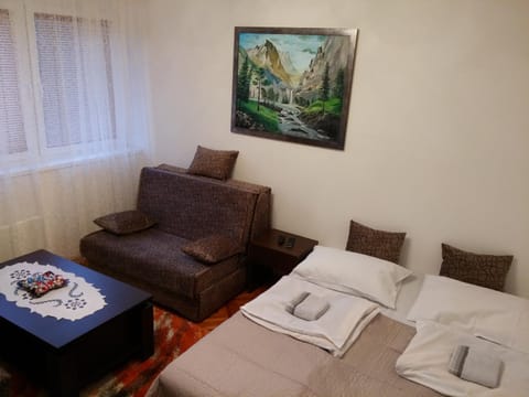 Apartman Sutjeska Condo in Montenegro