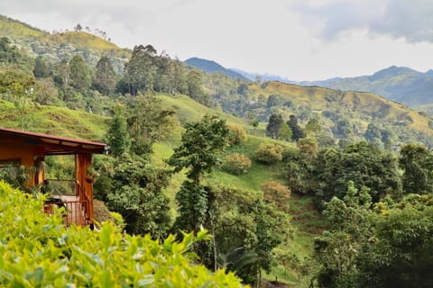 Natural landscape, Mountain view