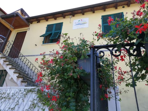 Property building, Facade/entrance, Balcony/Terrace