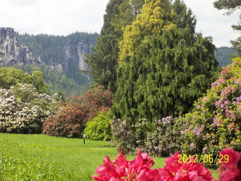 Ferienwohnung Zum Lilienstein Condo in Sächsische Schweiz-Osterzgebirge