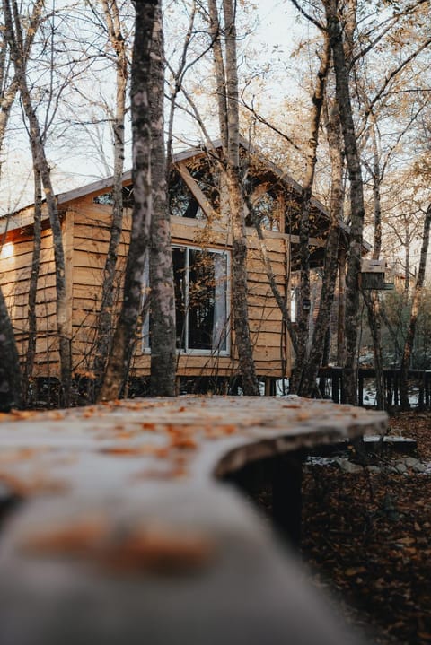 Cabañas Huilipan Chalet in Bio Bio, Chile