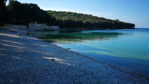 Apartments Branko Apartment in Banjole