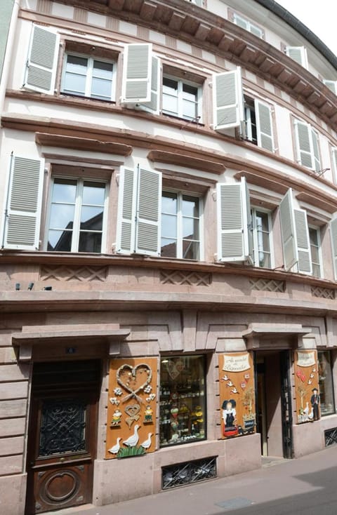 Les Appartements Saint Nicolas Condominio in Colmar
