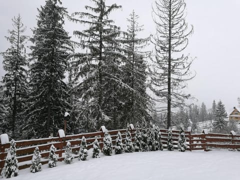 Winter, Garden view