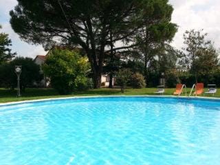 Garden, Swimming pool
