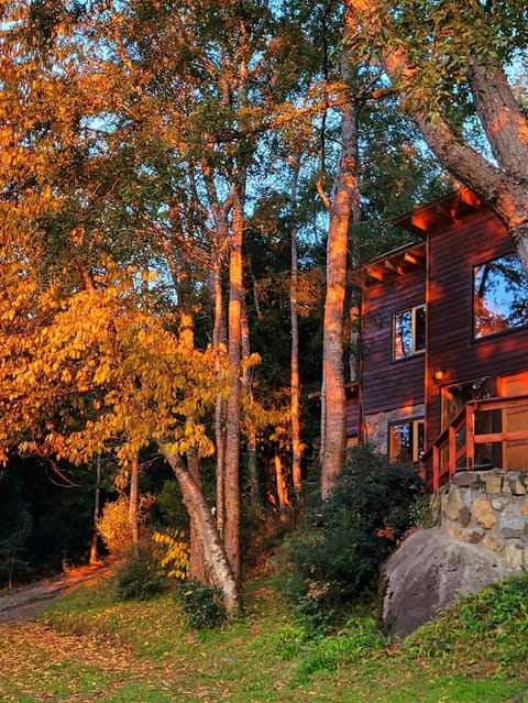 Cabañas Llifenativo Nature lodge in Los Ríos, Chile