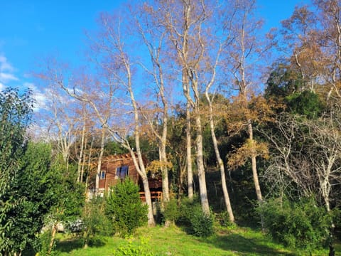 Cabañas Llifenativo Nature lodge in Los Ríos, Chile