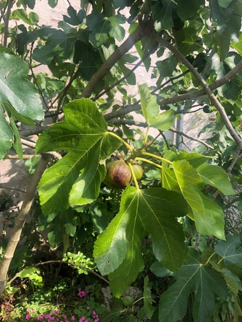 studio au calme proche de Chambord Apartment in Centre-Val de Loire