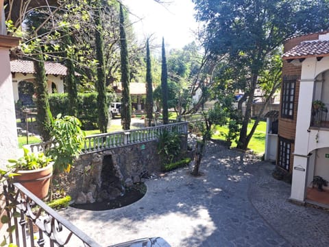 Natural landscape, Garden, Garden view