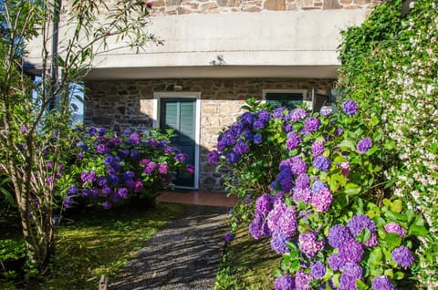 Facade/entrance, Garden