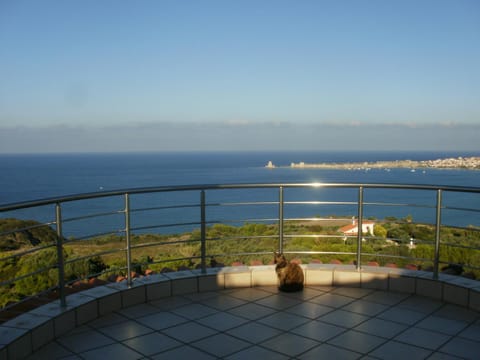 Nearby landmark, Balcony/Terrace, Pets