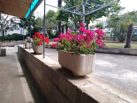 Apartments Elda Apartment in Poreč