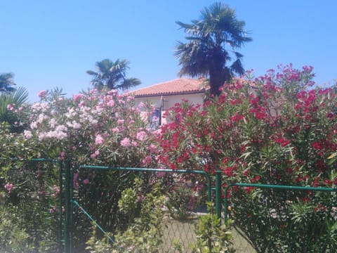 Apartments Elda Apartment in Poreč