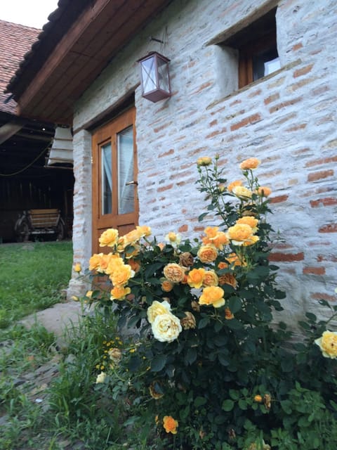 Dominic Boutique - Gardener's Cottage Casa de campo in Brașov County