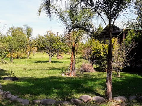 Cabañas El Paraiso Nature lodge in Jujuy Province, Argentina