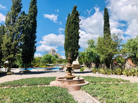 Garden, Garden view, Mountain view, Pool view