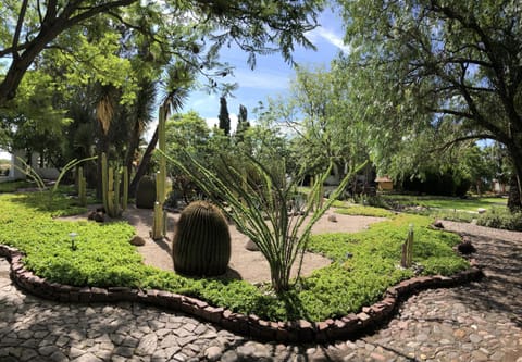 Garden, Garden view