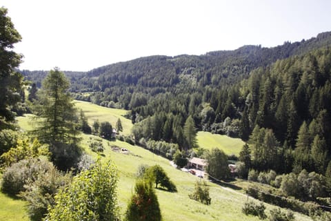 Residence Wiesenheim Apartment hotel in Trentino-South Tyrol