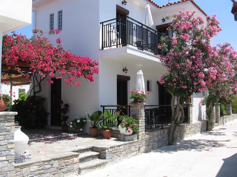 Topaz Apartments Apartment in Samos, Greece