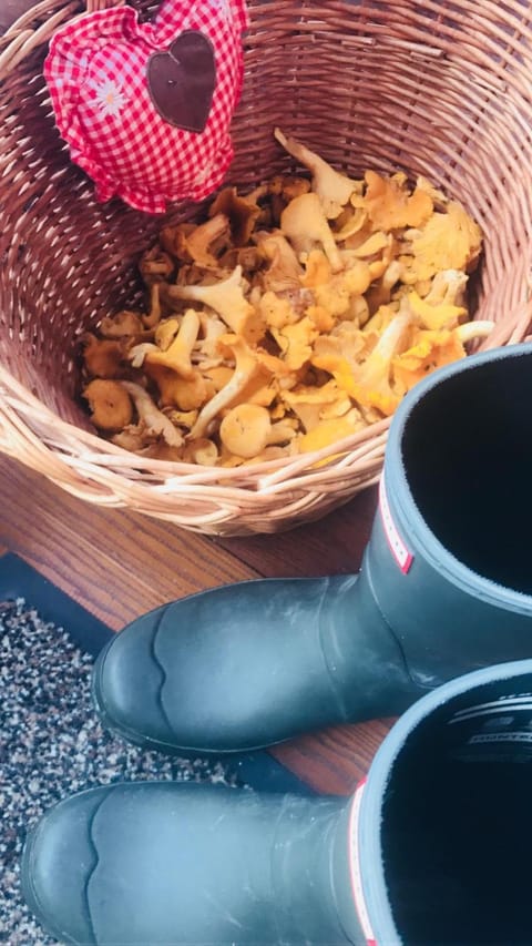 Malerwinkel, Forsthaus House in Carinthia, Austria