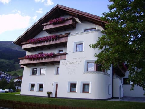 Property building, Summer