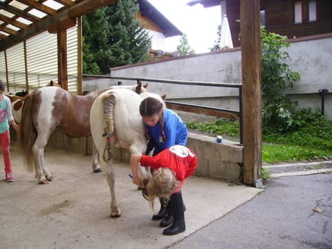 Day, Animals, young children