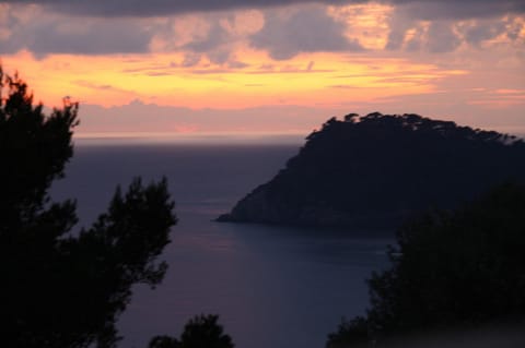 Natural landscape, Beach