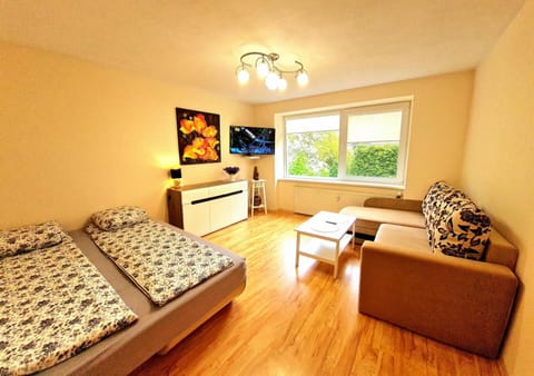 Nida Amber Apartment in Klaipėda County, Lithuania