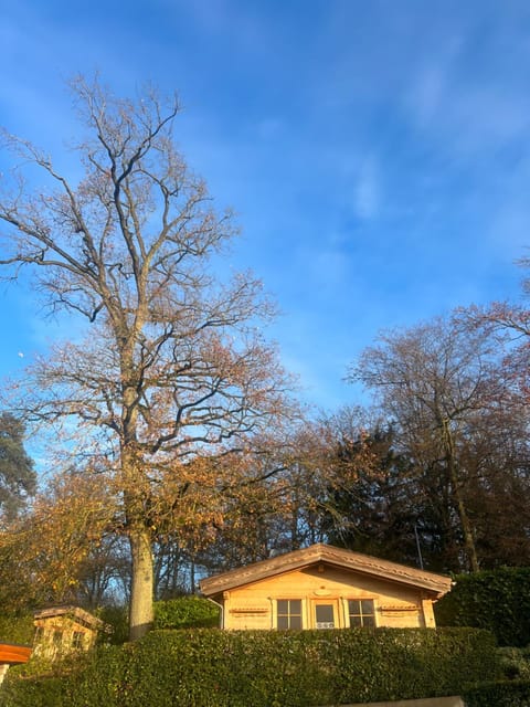 Sauna, Sauna, Autumn, Pool view, Swimming pool, Swimming pool