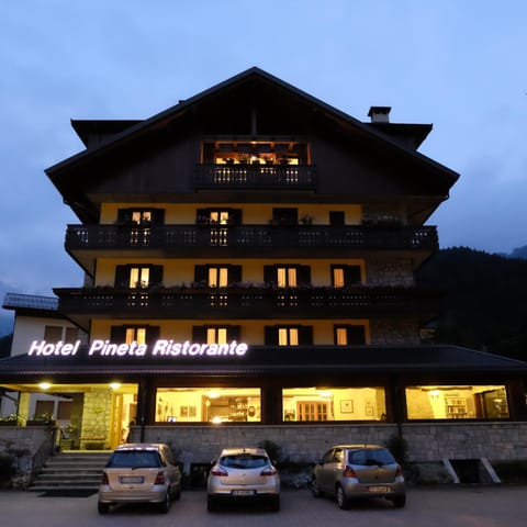 Hotel Pineta Hotel in Ponte di Legno