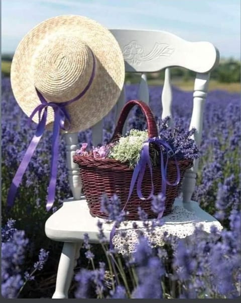 Grange Voutée avec jardin Casa in Forcalquier