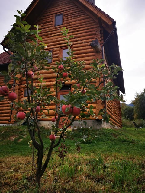 Valea Vistisoarei Farm Stay in Brașov County
