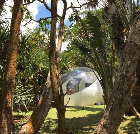 Bubble Lodge Bois Chéri Plantation Lodge nature in Mauritius