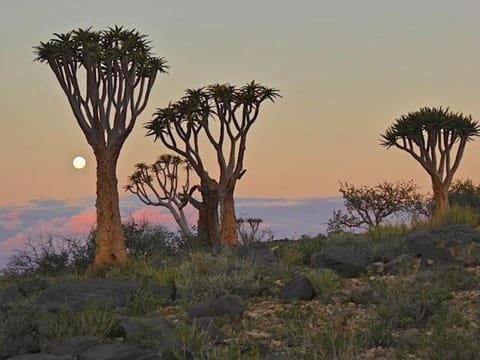 Natural landscape, Sunset