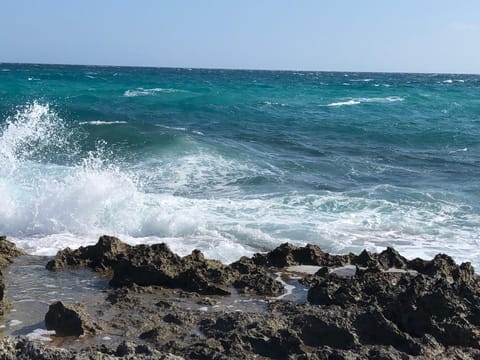 L'Angulus Ridet Chambre d’hôte in Porto Cesareo