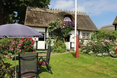 Travel back in time Landhaus in Stege