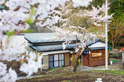 Property building, Facade/entrance, Spring, Day, Garden, Garden view