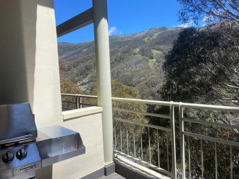 Inala 3 - Thredbo Apartment in Thredbo