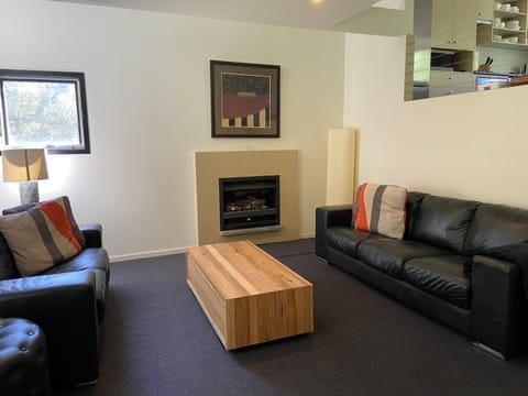 Oberdere 3 - Thredbo Apartamento in Thredbo