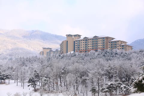 Oak Valley Resort Resort in Gyeonggi-do