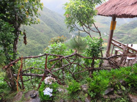 Native Village Inn Bed and Breakfast in Cordillera Administrative Region