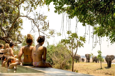 Day, People, Natural landscape, Animals, Swimming pool, group of guests