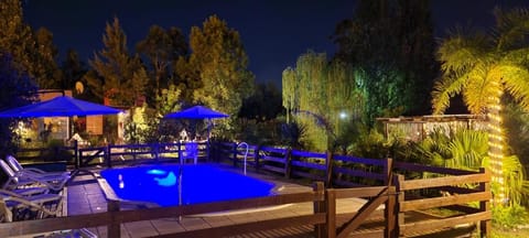 Night, Garden, Swimming pool