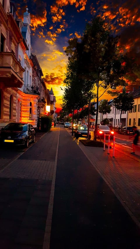 Neighbourhood, Street view, Sunset