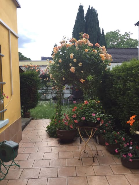 Patio, Garden, Balcony/Terrace, Garden view