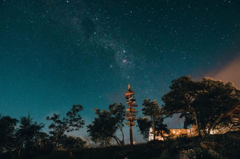 Patio, Night, Garden, Landmark view