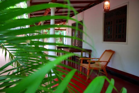 Balcony/Terrace, Garden view