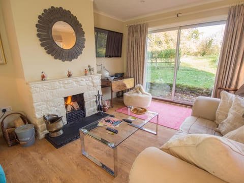 TV and multimedia, Living room, Photo of the whole room, Decorative detail