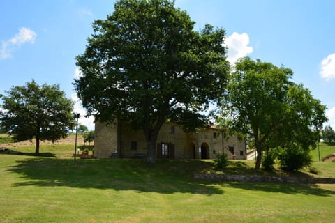 Property building, Natural landscape, Garden