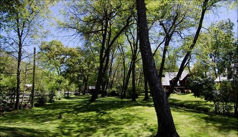 Patio, Garden